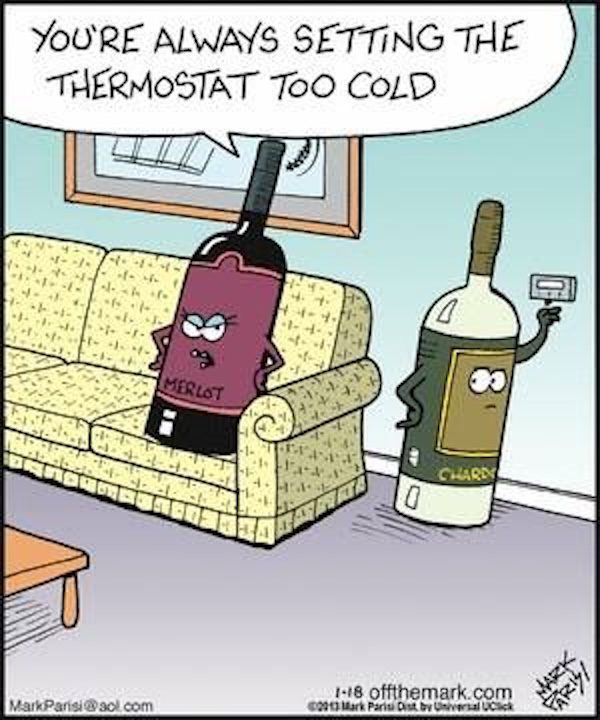 cartoon of two wine bottles complaining about being too cold